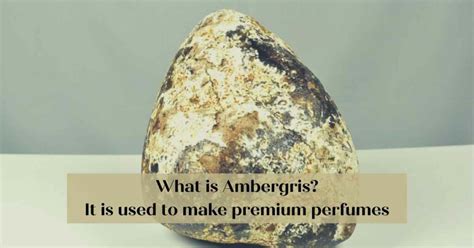 is perfume made out of whale vomit